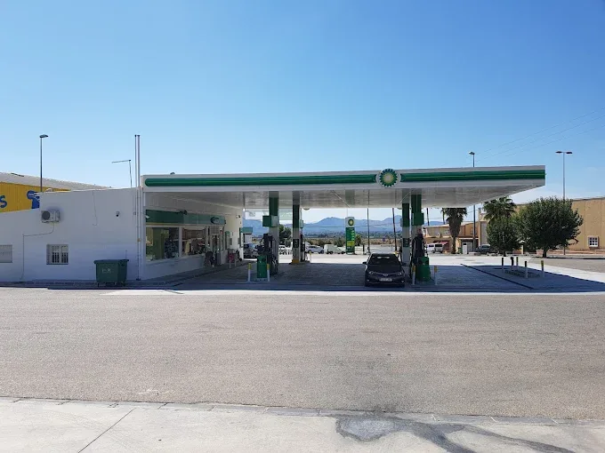 Gasolinera BP ASCOY en Avenida de la Industria, S/N